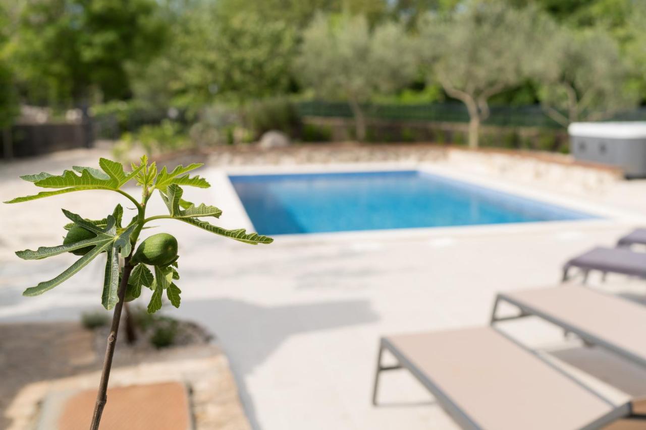 Stone Lady Holiday Home With Pool&Hot Tub,Sauna,Bbq,Garden Rasopasno Экстерьер фото